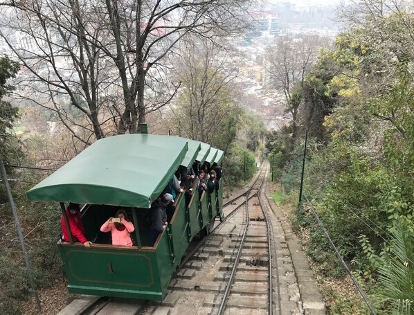 A green tram with passengers on a track surrounded by trees and a cityscape in the background.