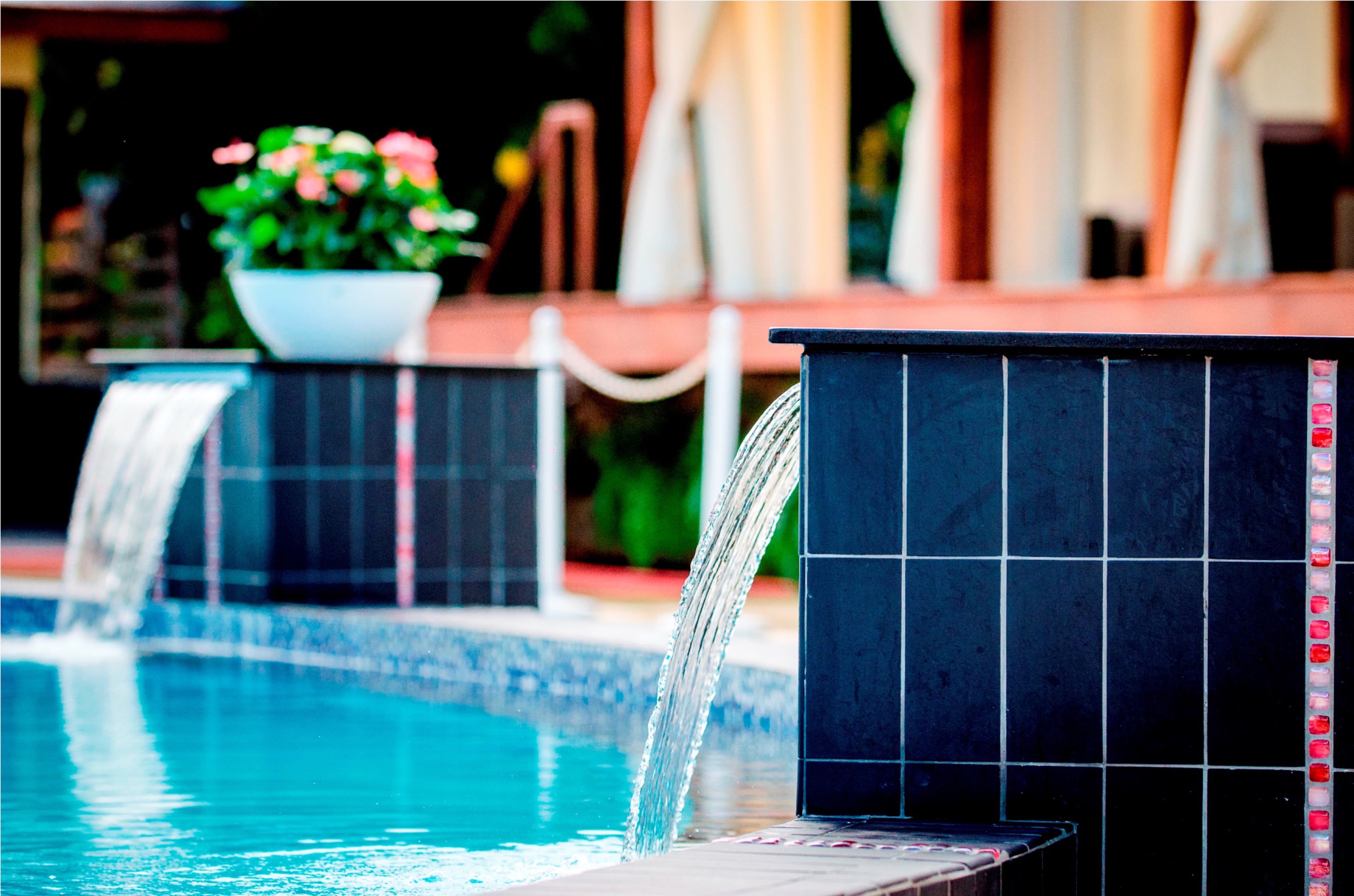 Una piscina con fuente y una planta en maceta.