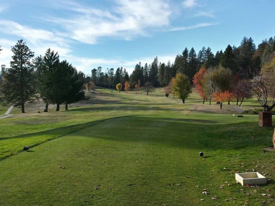 A golf course with a well-maintained green, trees, and a clear sky.