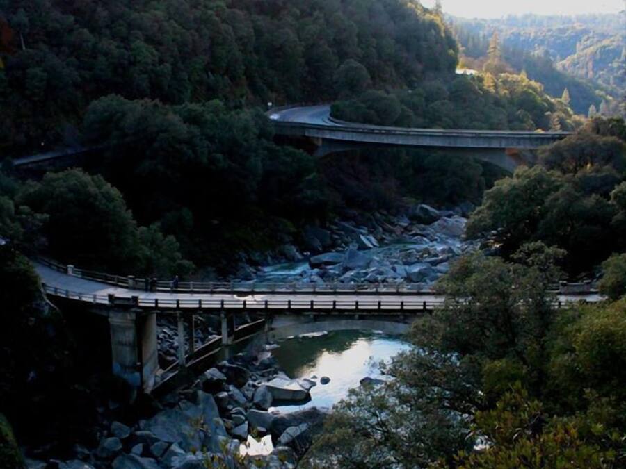 Un puente sobre un río rodeado de bosque denso.