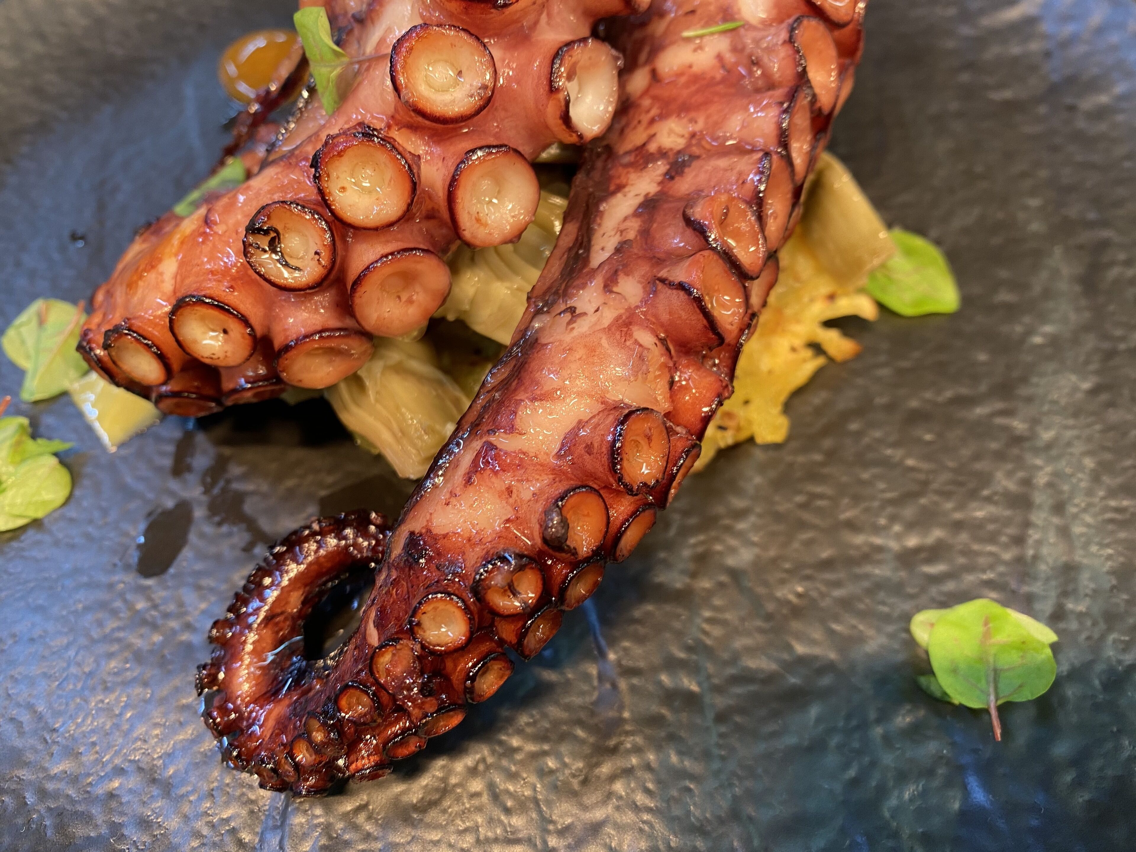 Ein Detailaufnahme von gegrilltem Oktopus mit gebräunter Haut und Tentakeln, serviert auf einer dunklen Oberfläche mit grünen Blättern.