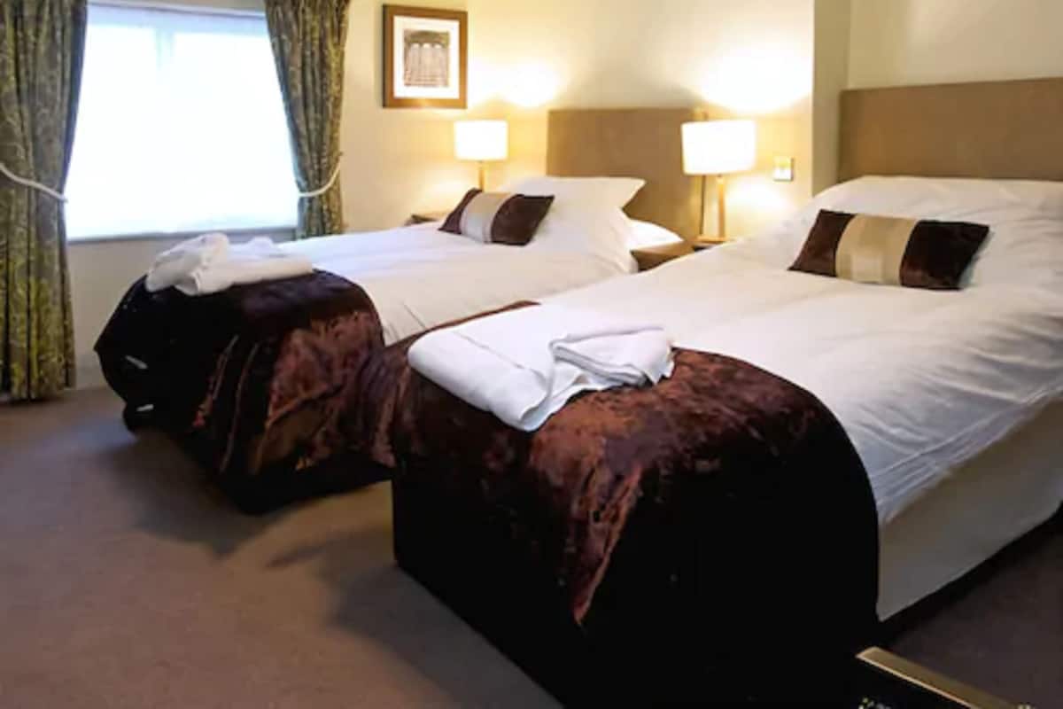 A hotel room with two beds, each with a brown headboard, white linens, and a bedside lamp.