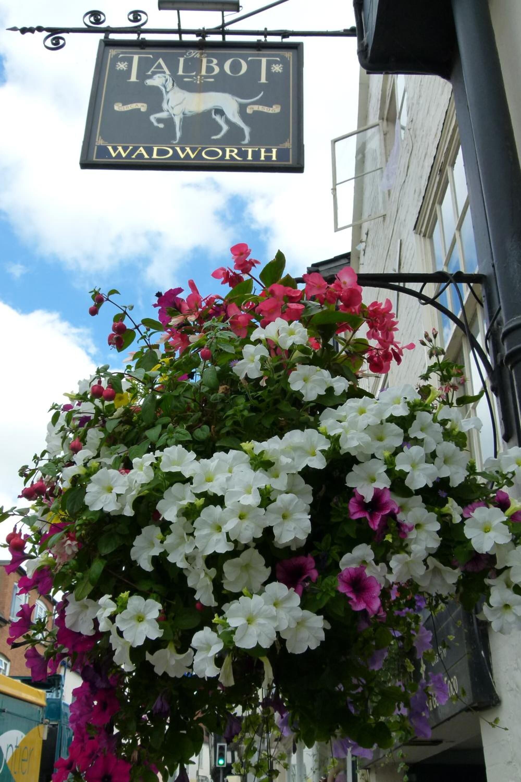 A hanging flower basket with white and pink flowers in front of a building with a sign that reads "The Talbot Wadworth".