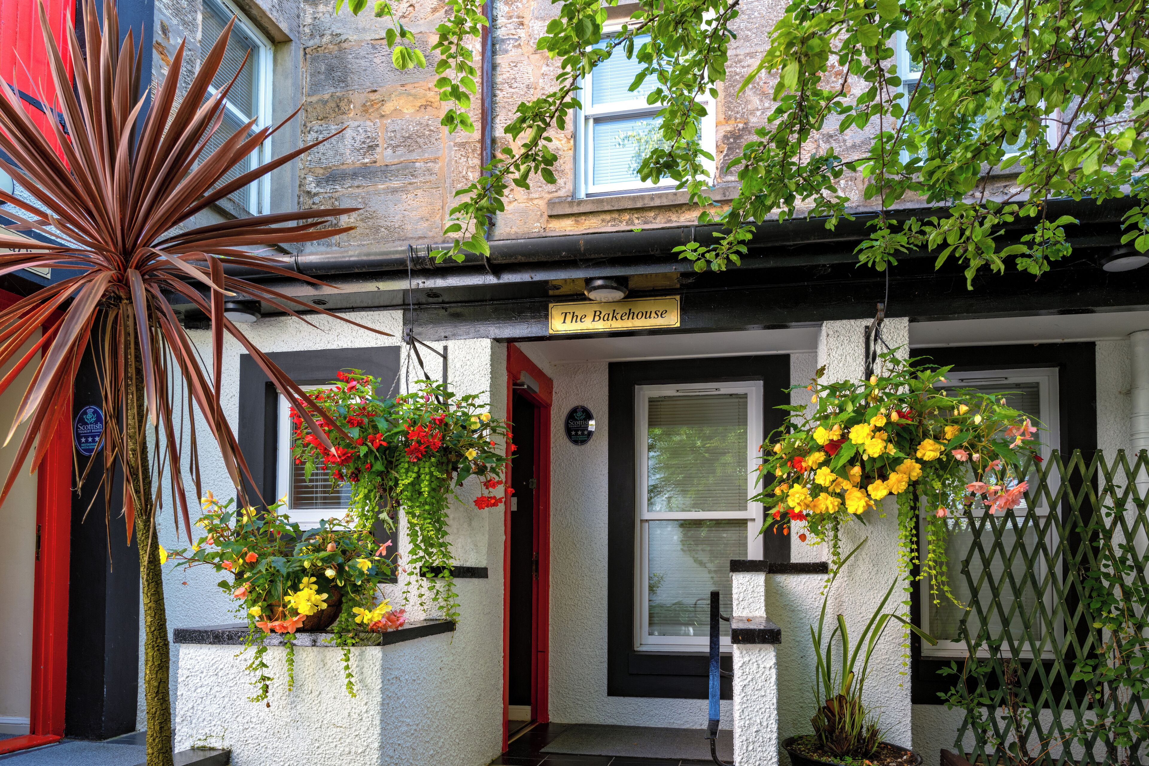 Family Room | View from room
