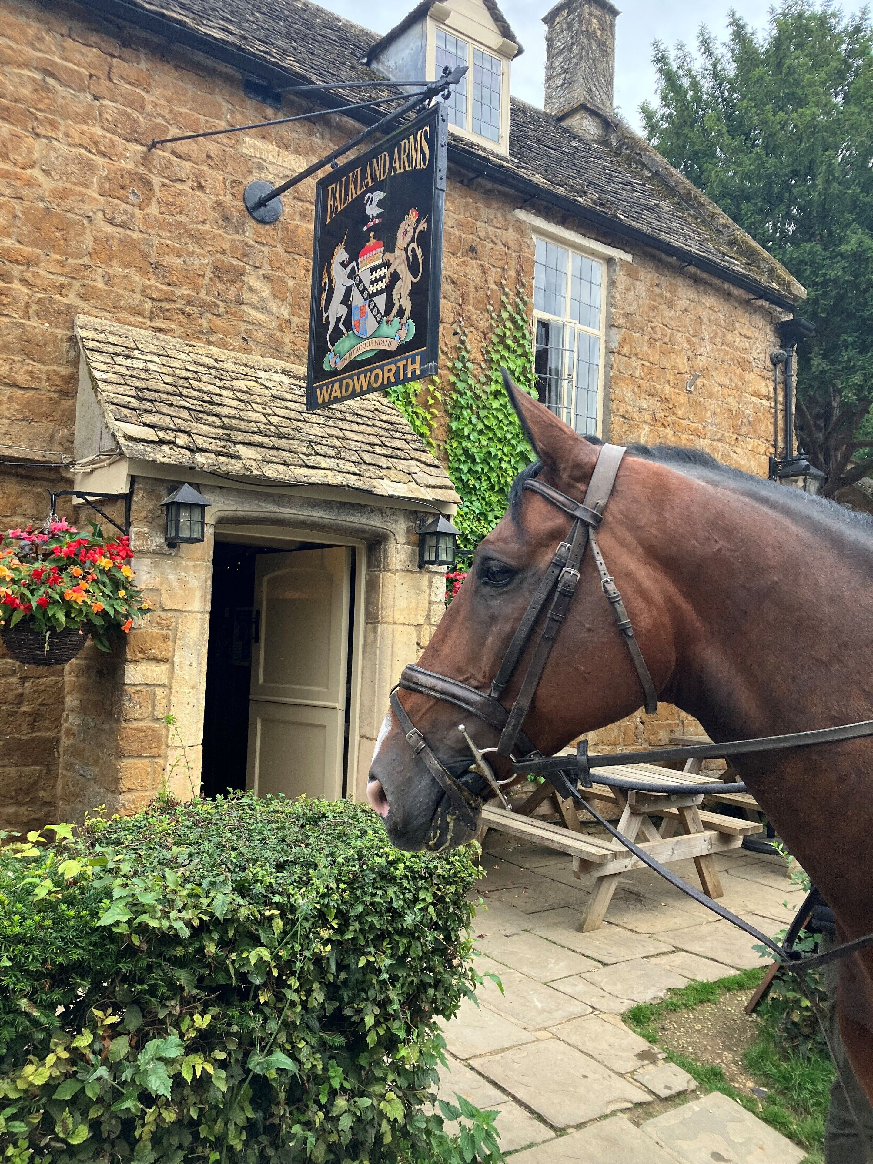 Un bâtiment en pierre avec une enseigne indiquant « Falkland Arms » et un cheval devant.