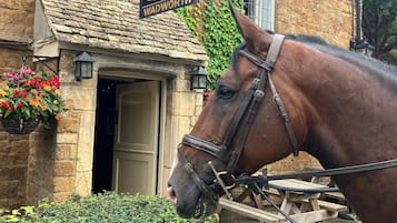 Un bâtiment en pierre avec une enseigne indiquant « Falkland Arms » et un cheval devant.