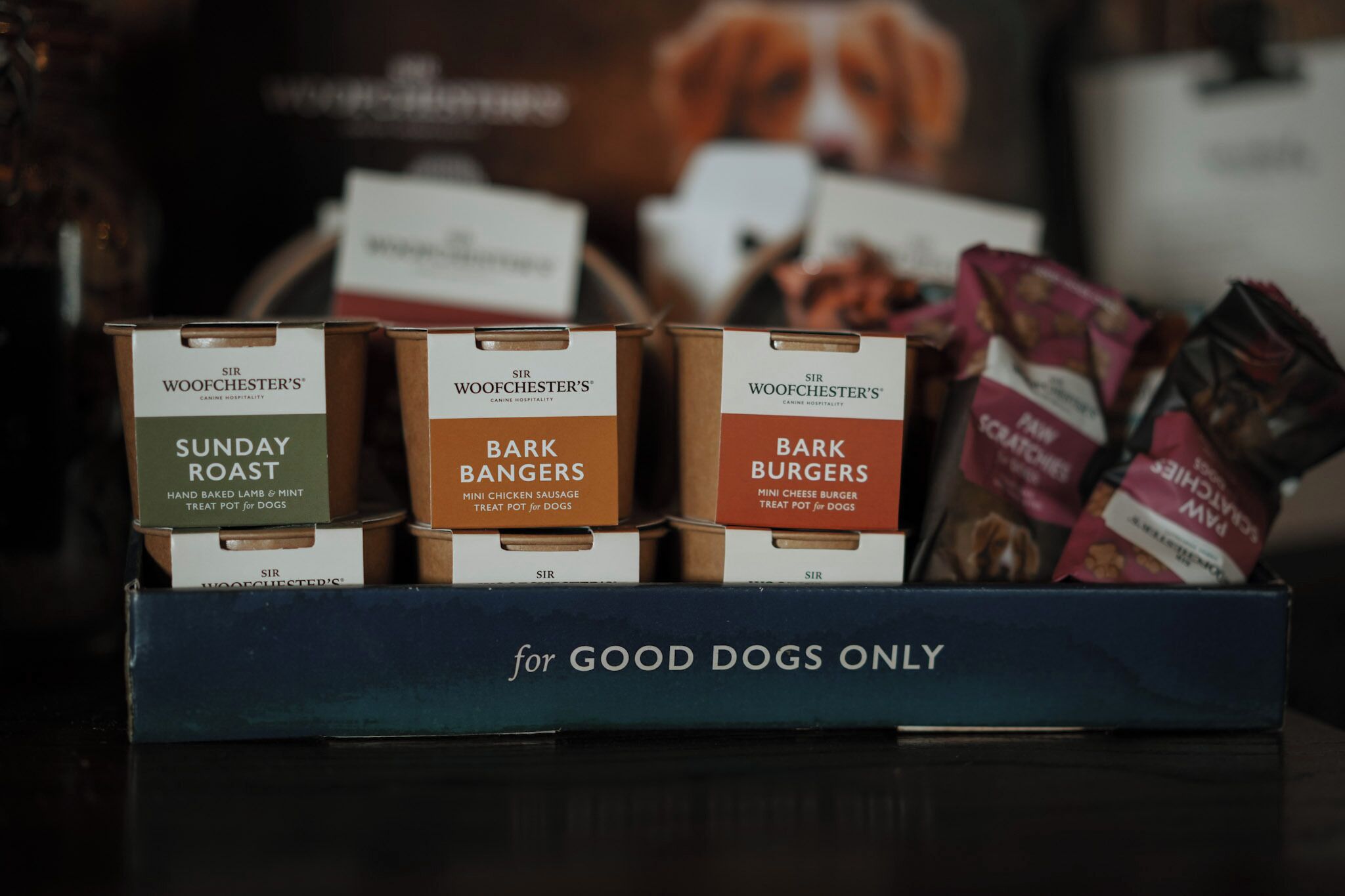 Pet-friendly amenities