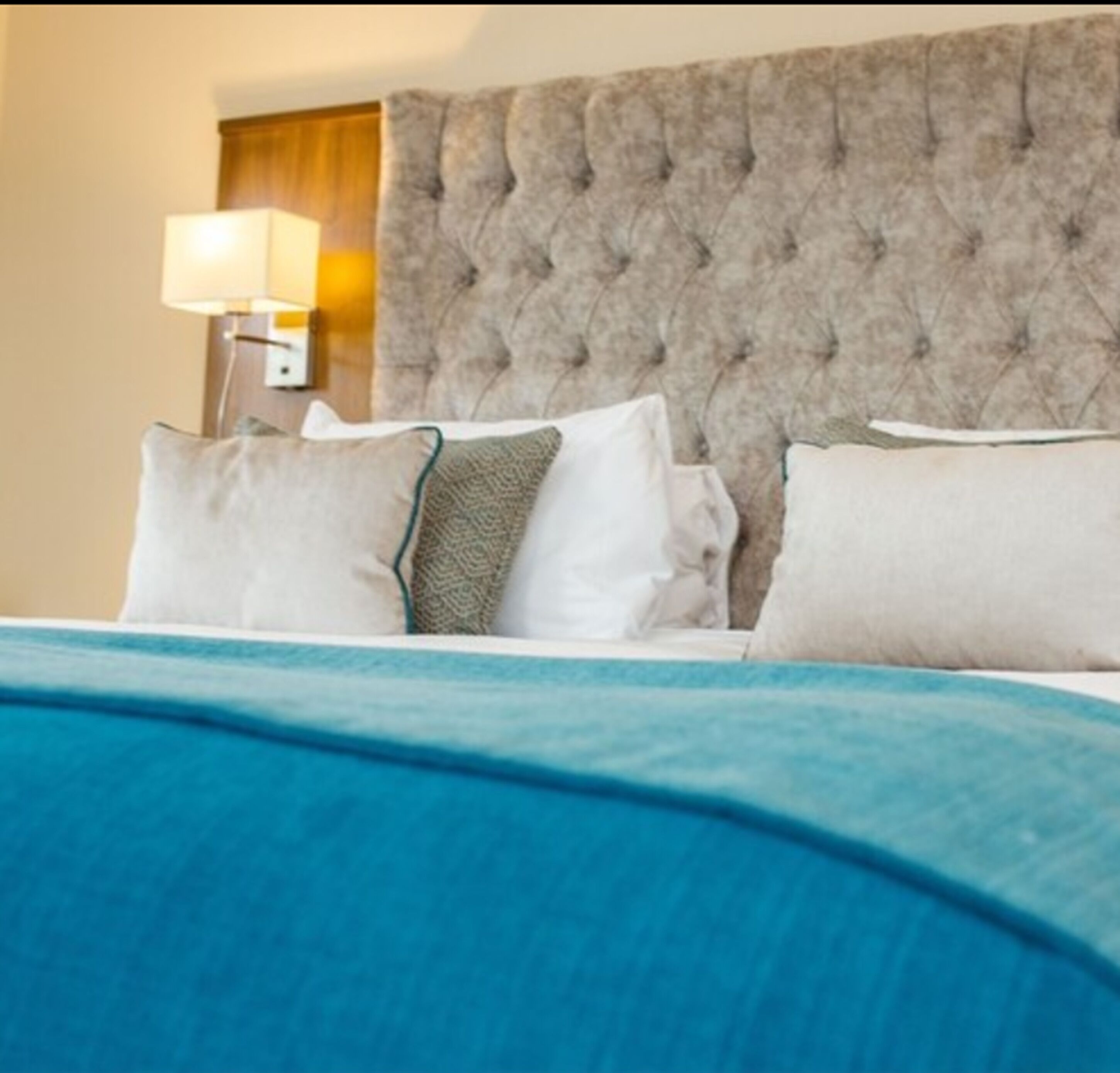 A hotel room with a tufted headboard, a bed with white and teal bedding, and a bedside lamp.
