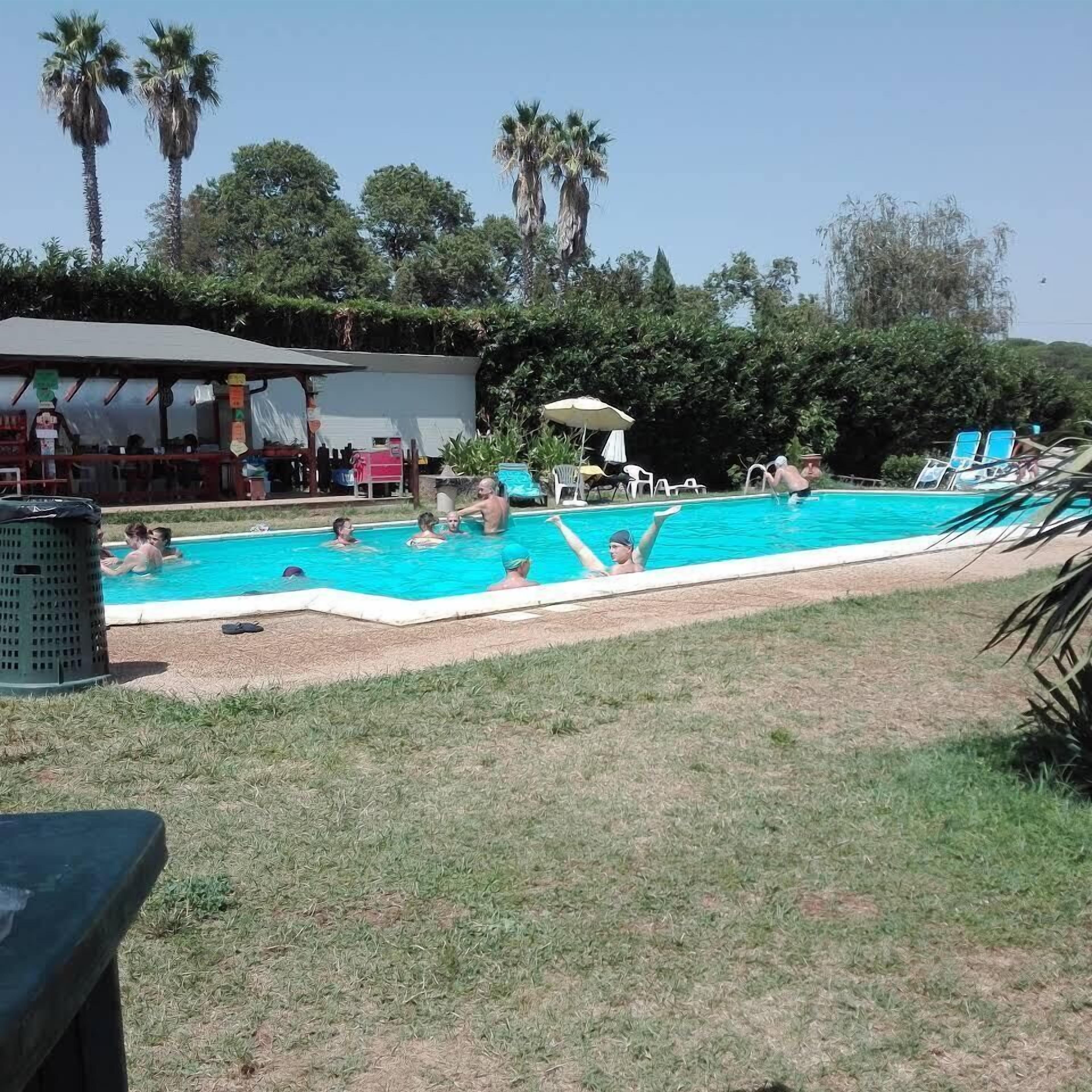 Piscina rodeada por relva e árvores, com espreguiçadeiras e guarda-sóis.