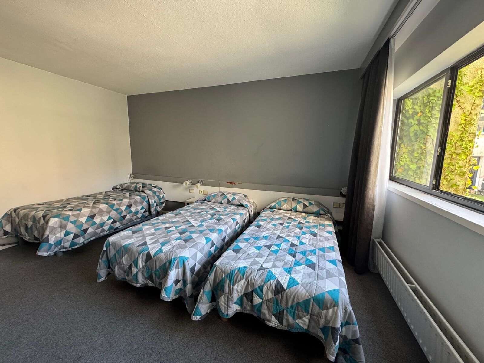 A room with two single beds, a window with a view of greenery, and a grey carpet.