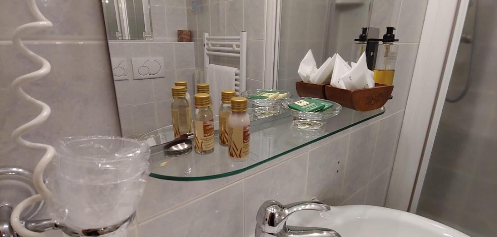 shower, free toiletries, hair dryer, bidet