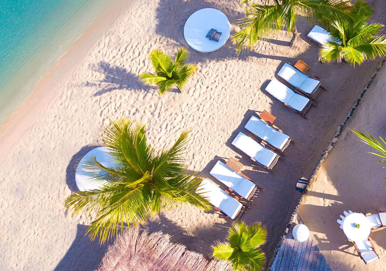An aerial view of a beach with sun loungers and palm trees.