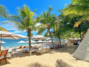 Accommodatie ligt op het strand, ligstoelen, parasols, strandlakens
