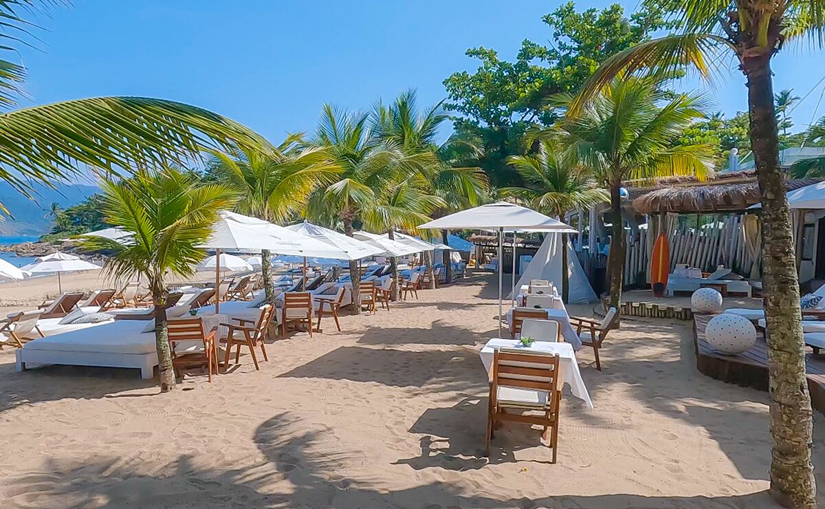 A beachside restaurant with outdoor seating, palm trees, and a view of the ocean.