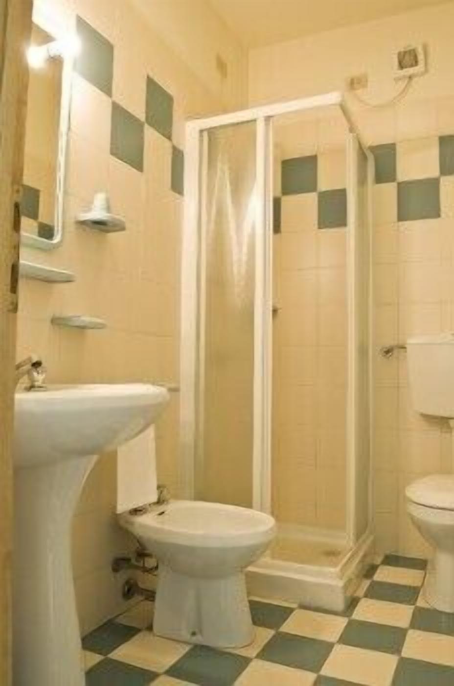 shower, free toiletries, hair dryer, bidet