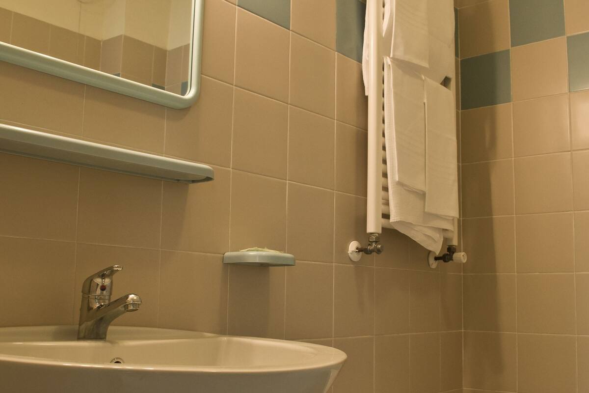 shower, free toiletries, hair dryer, bidet