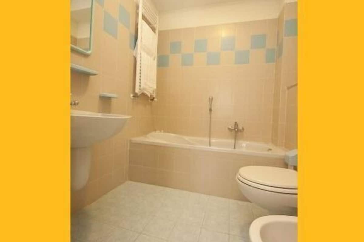 shower, free toiletries, hair dryer, bidet