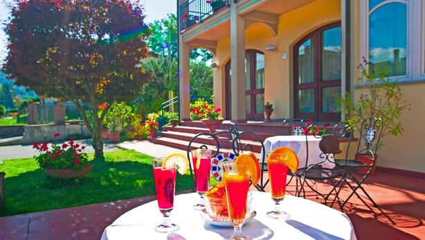 Une table avec des boissons et une vue sur le jardin.