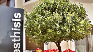 A sign for 'Esthis Suites' with a well-maintained tree and vibrant red flowers in front.
