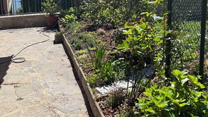 Een binnenplaats met stenen vloer, een tuin met diverse planten en een gebouw met een pannendak en groene luiken.
