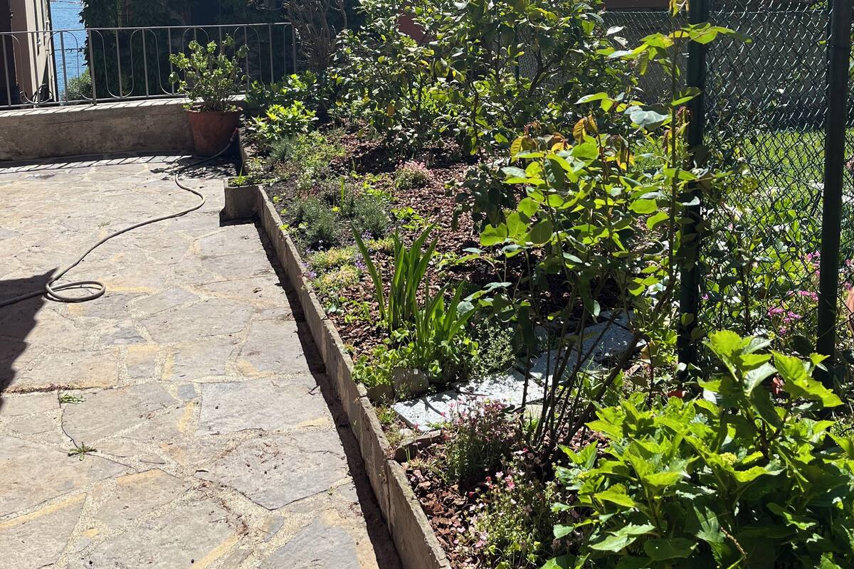 A courtyard with stone flooring, a garden with various plants, and a building with a tiled roof and green shutters.