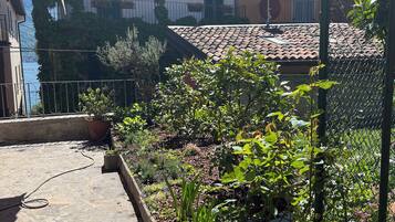 Maison Traditionnelle