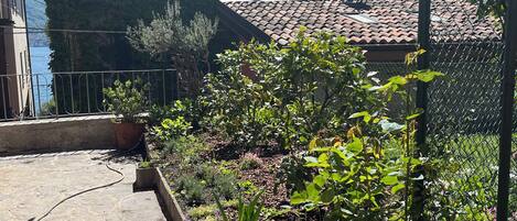 Un patio con suelo de piedra, un jardín con diversas plantas y un edificio con techo de tejas y contraventanas verdes.