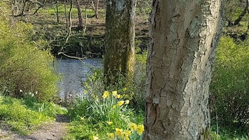 花園