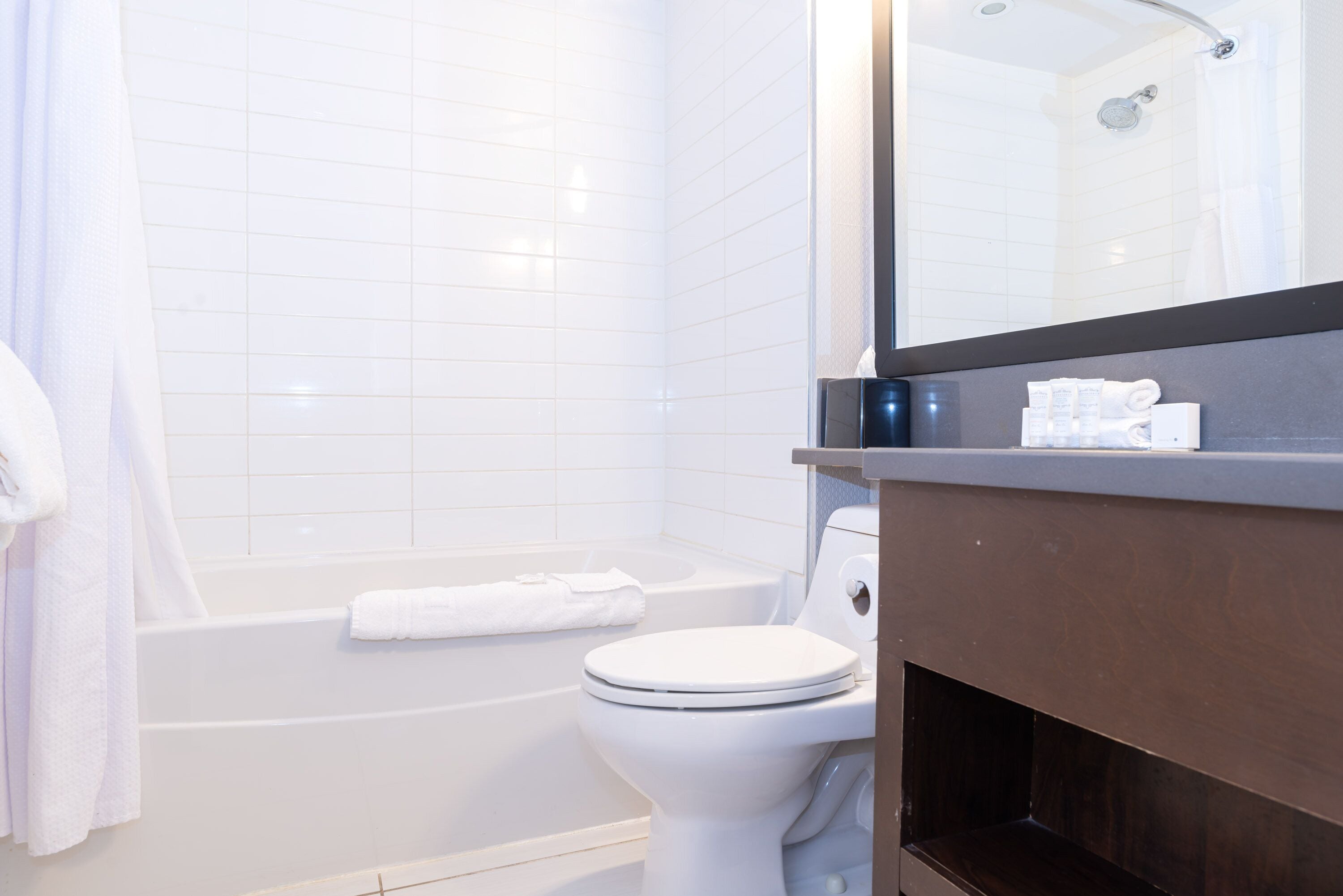 combined shower/bathtub, free toiletries, hair dryer, towels