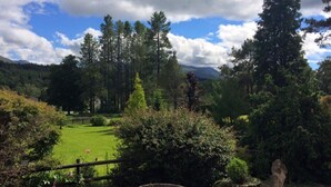 A lush garden with a wooden fence, a pond, and a statue.