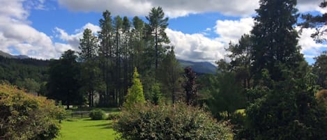 Un exuberante jardín con una valla de madera, un estanque y una estatua.