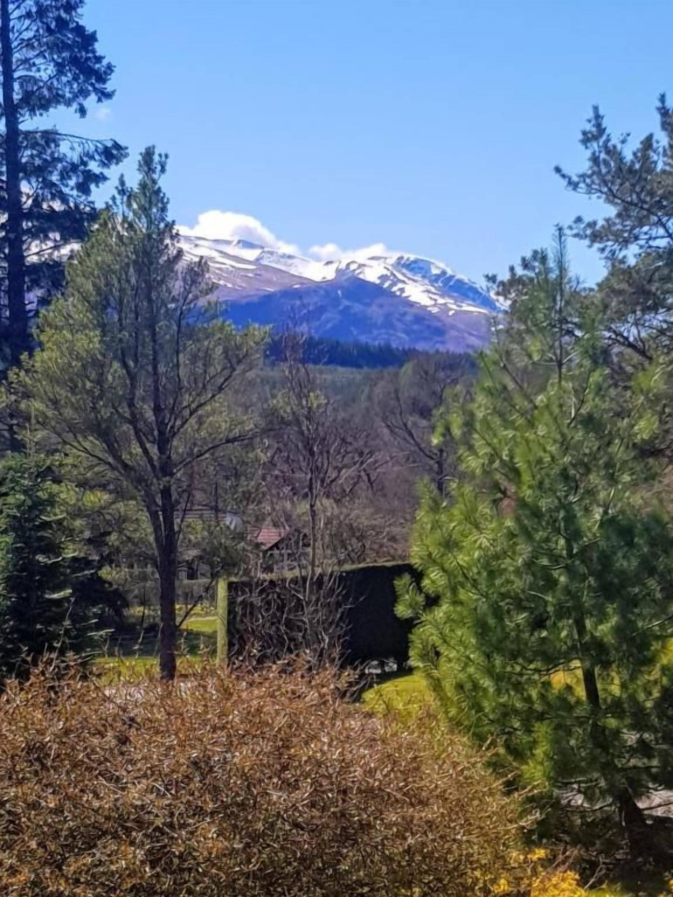 Paisaje montañoso con picos nevados, cielo despejado y un primer plano boscoso.