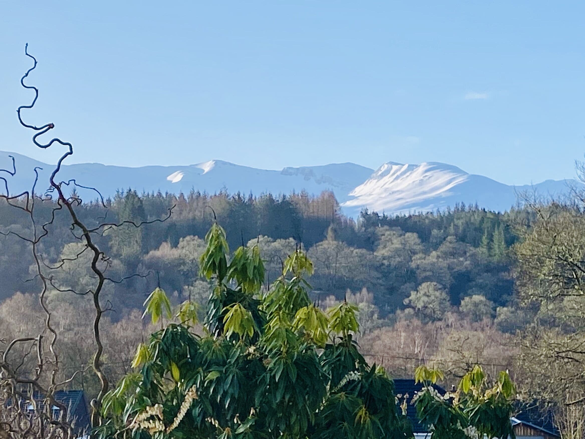 Un paisaje montañoso con picos nevados y un valle cubierto de bosque.