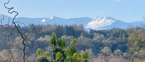 Un paisaje montañoso con picos nevados y un valle cubierto de bosque.
