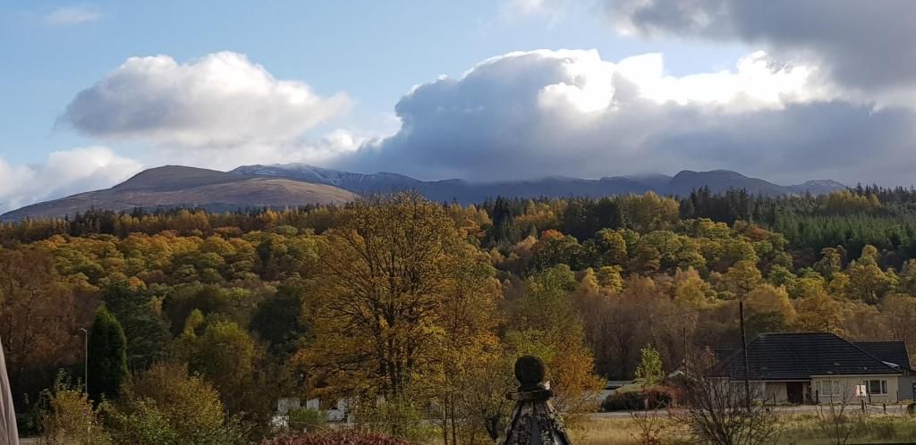 Un paisaje con una casa y árboles en tonos otoñales.