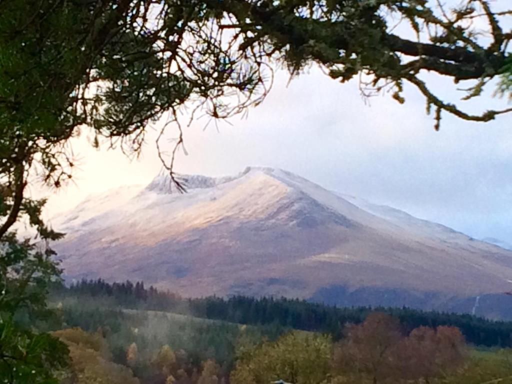 A mountain with a forested foreground and a clear sky.