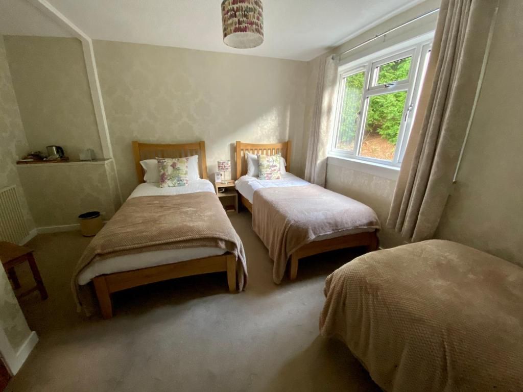 Rom