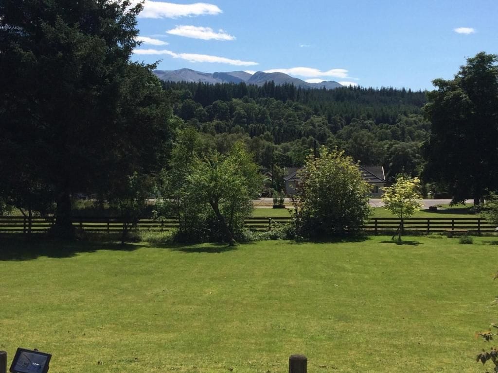 A grassy field with a wooden fence, trees, and a mountain range in the background.
