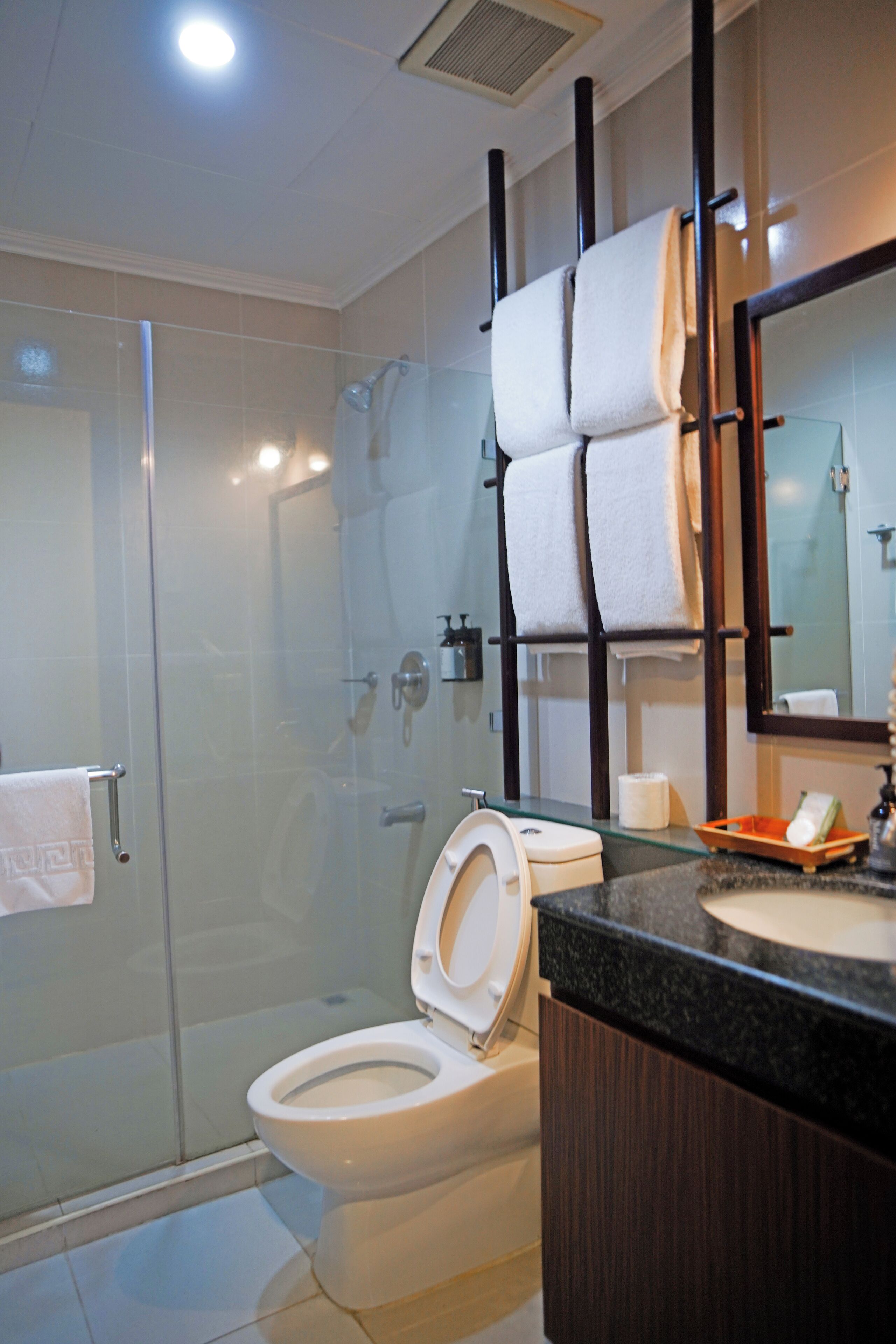 A modern bathroom with a glass-enclosed shower, a white toilet, and a dark wood vanity with a mirror.