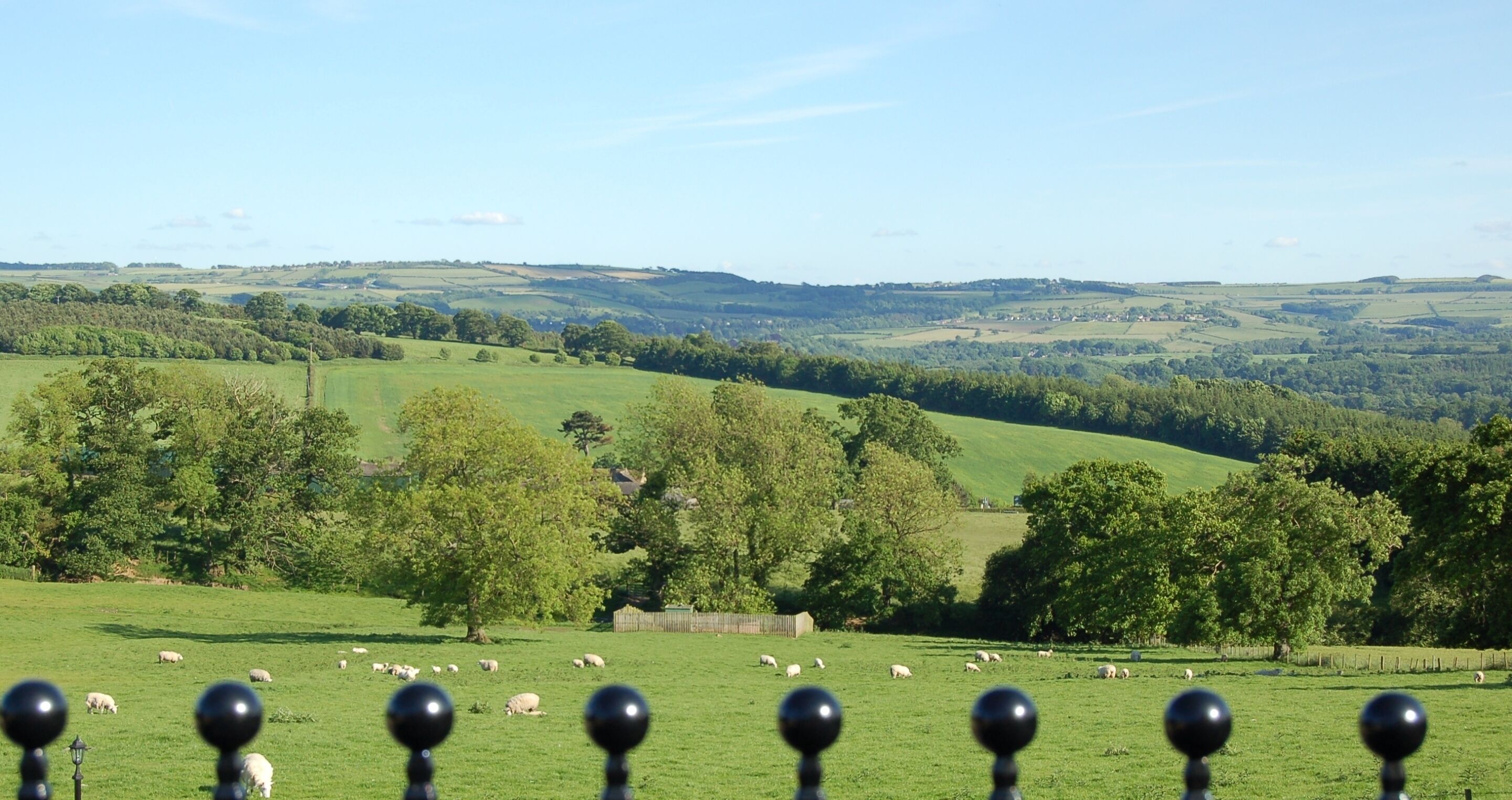 A rural landscape with a green field, trees, and a fence.