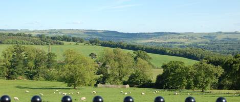 A rural landscape with a green field, trees, and a fence.
