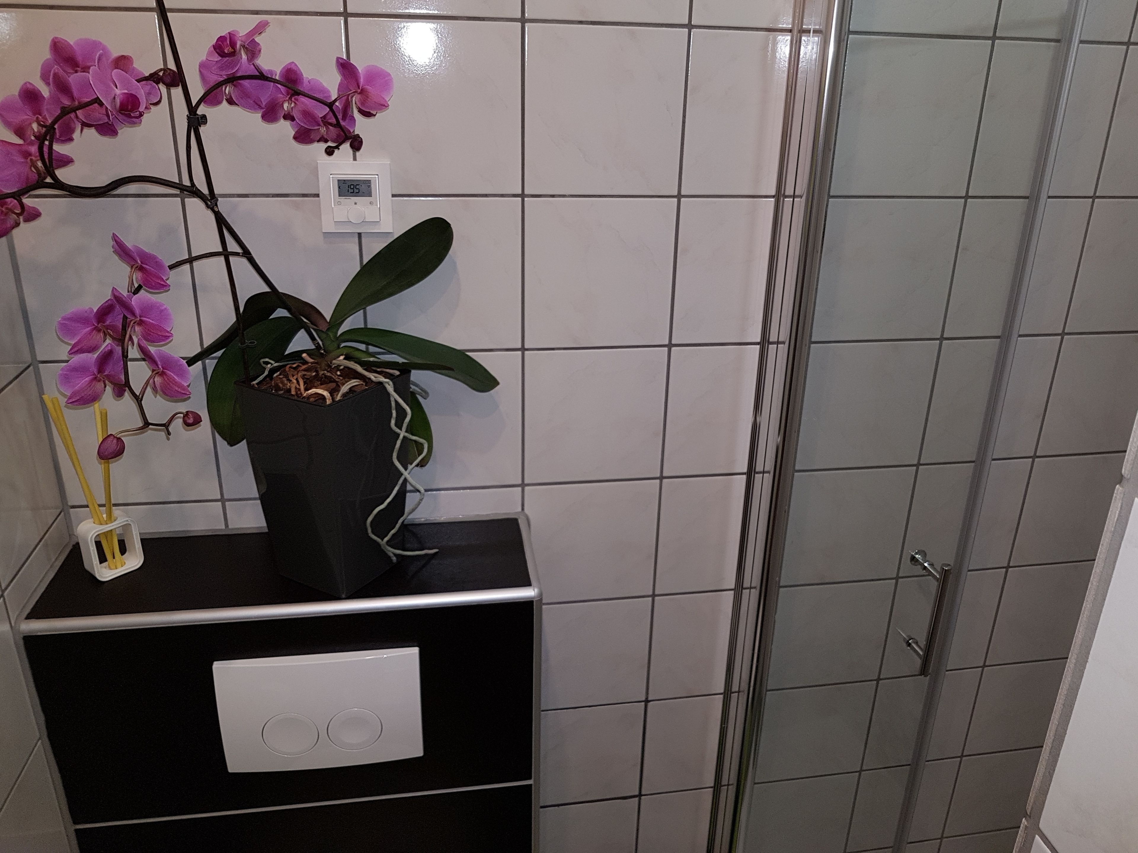 economy single room, non smoking | bathroom | shower, free toiletries, hair dryer, towels