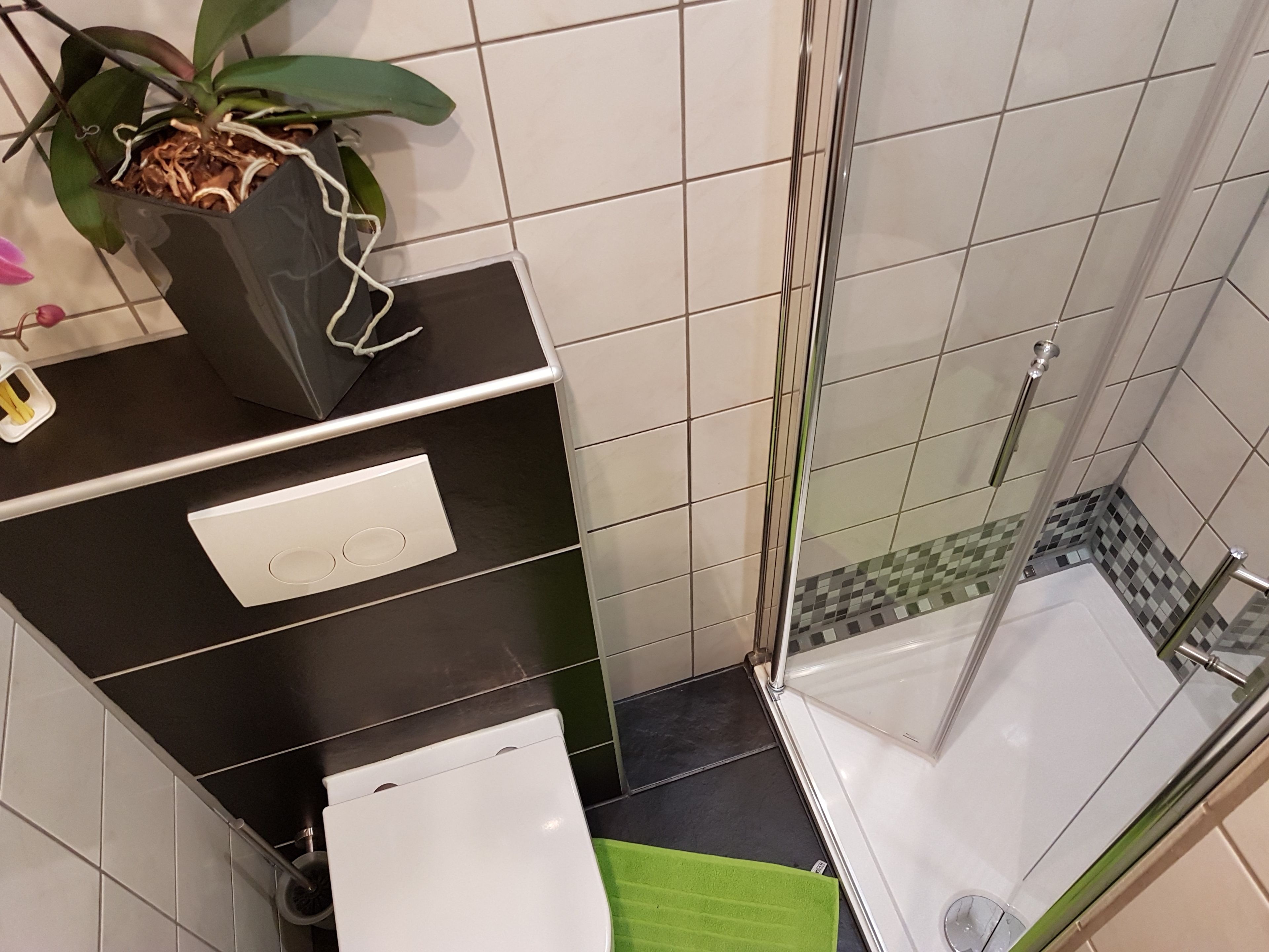 economy double or twin room, non smoking | bathroom | shower, free toiletries, hair dryer, towels