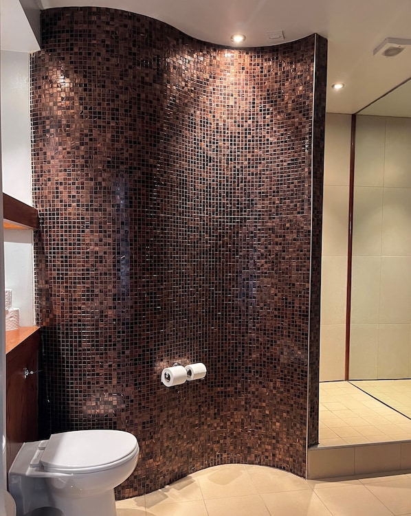 Un baño con una mampara de ducha curva revestida con mosaicos, un inodoro y un perchero con dos rollos de papel higiénico.