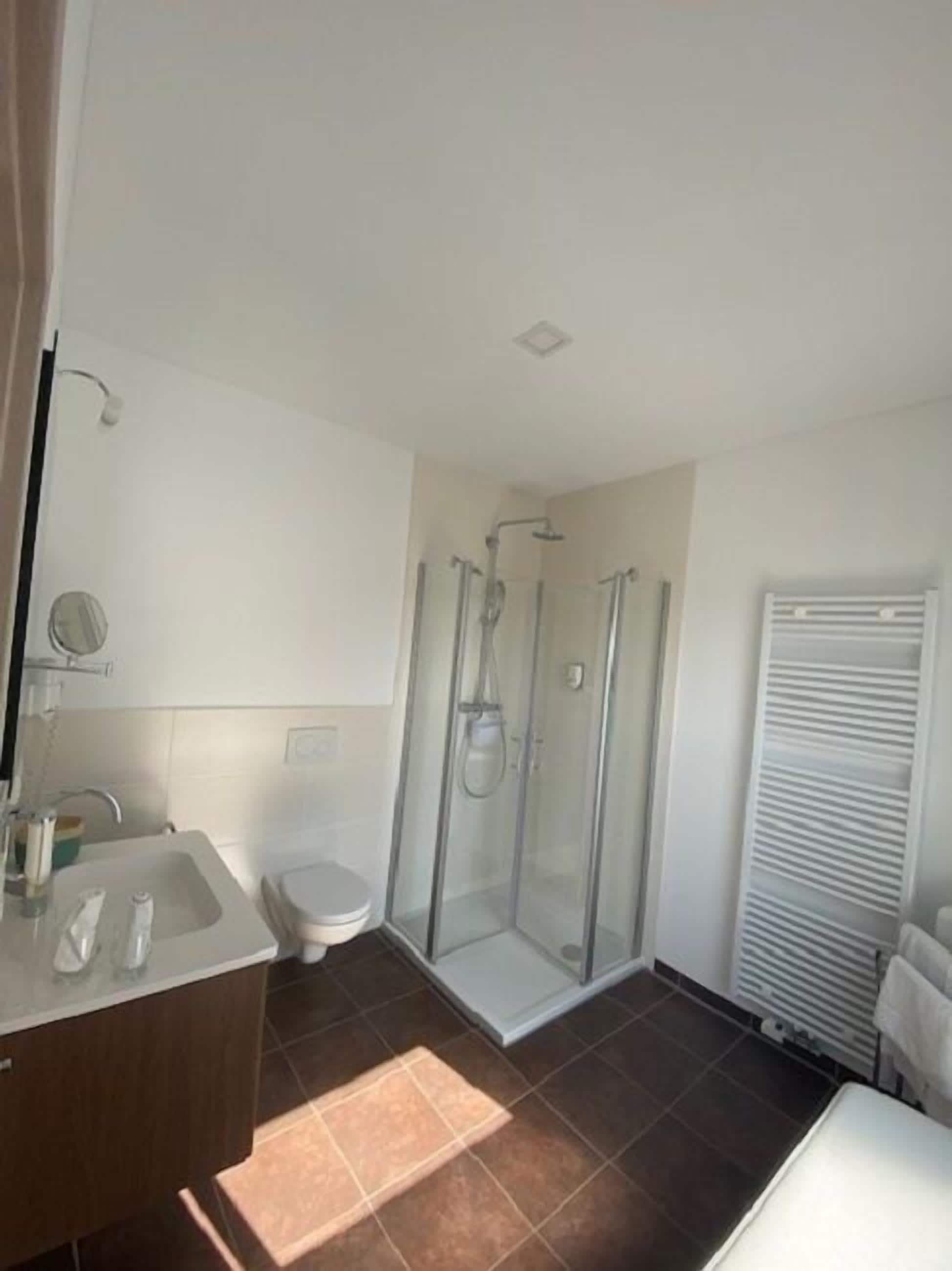 A modern bathroom with a glass-enclosed shower, a toilet, and a sink with a mirror.