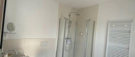 A modern bathroom with a glass-enclosed shower, a toilet, and a sink with a mirror.