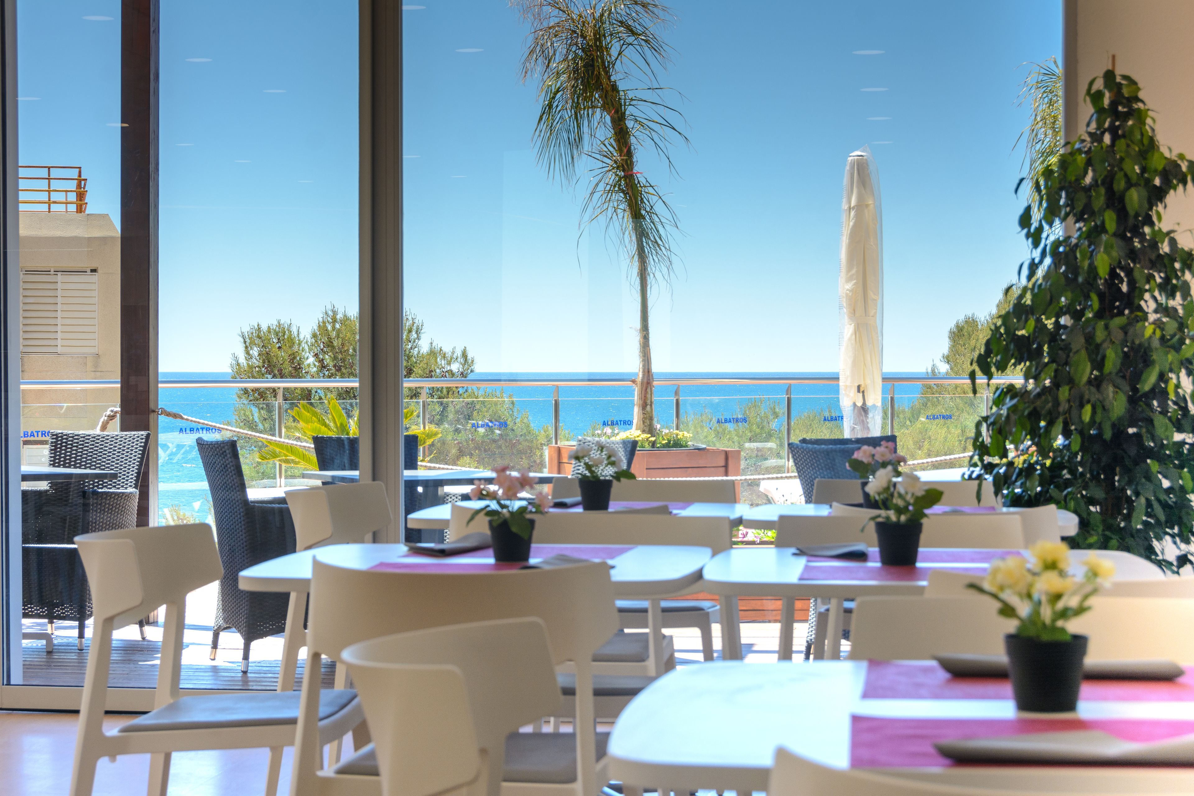 Spécialités Cuisine internationale