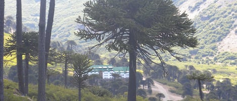 Áreas de la propiedad