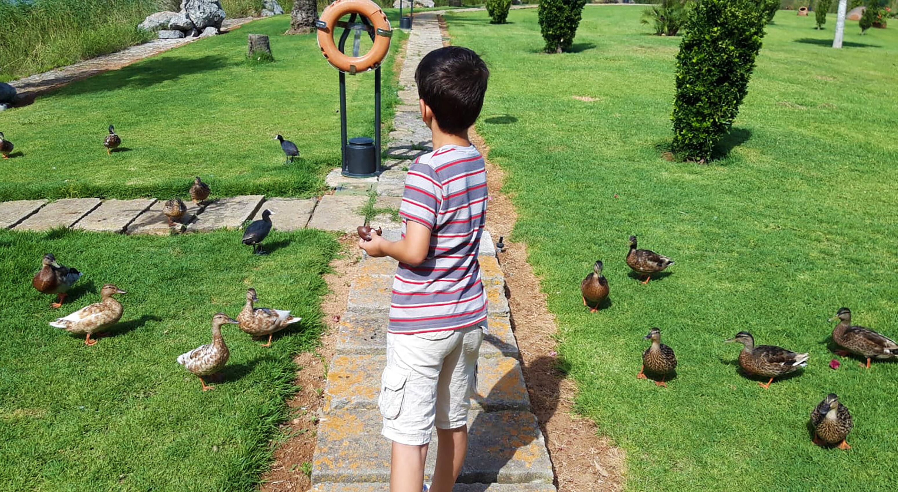 Foto - Eix Lagotel Holiday Resort