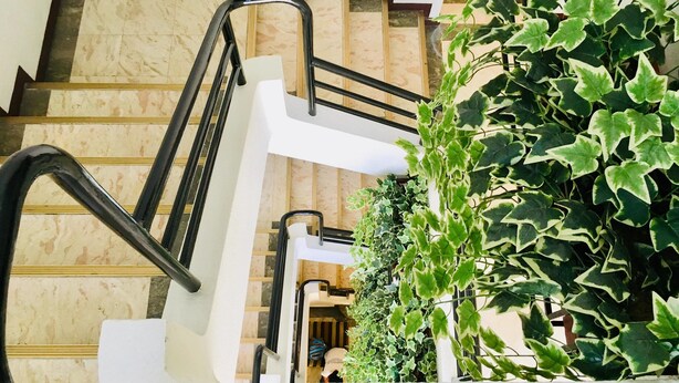 A staircase with a handrail and a potted plant beside it. - Jupiter Suites (Makati)